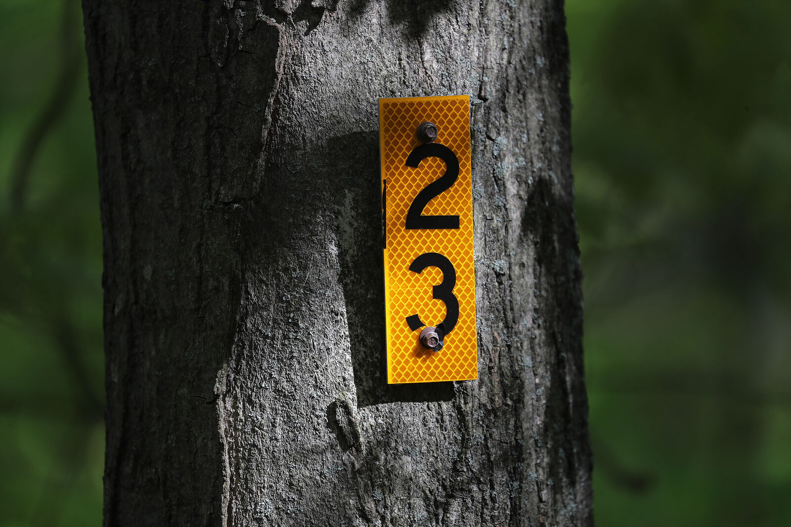 Trail marker